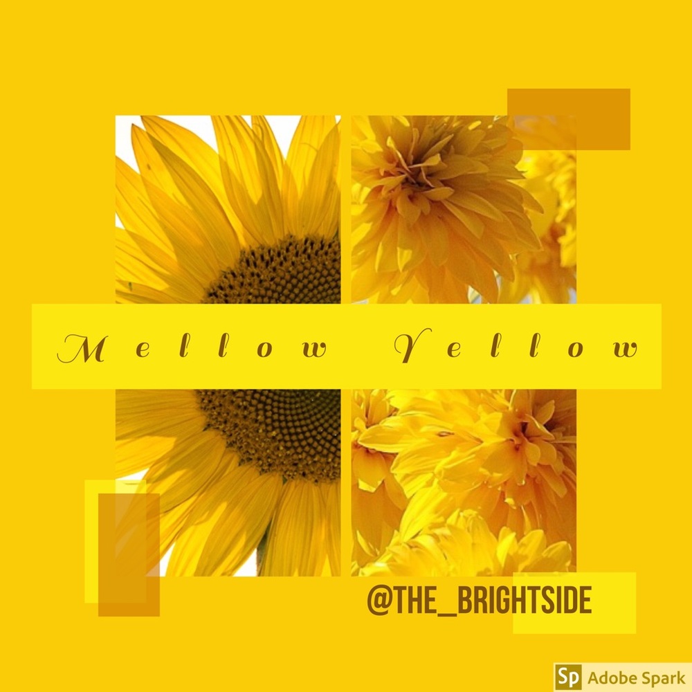 💛💛💛💛💛💛
